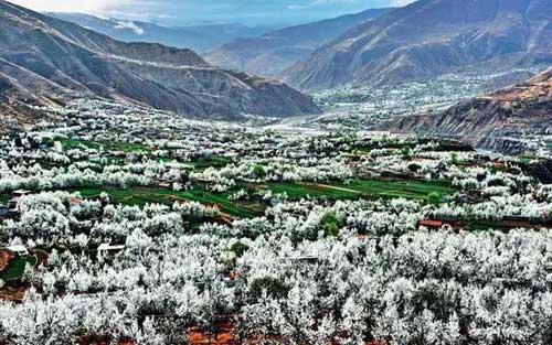 低至1300元!川藏線拼車金川賞梨花5日游活動震撼上線!