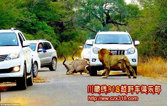 川藏線自駕游租車