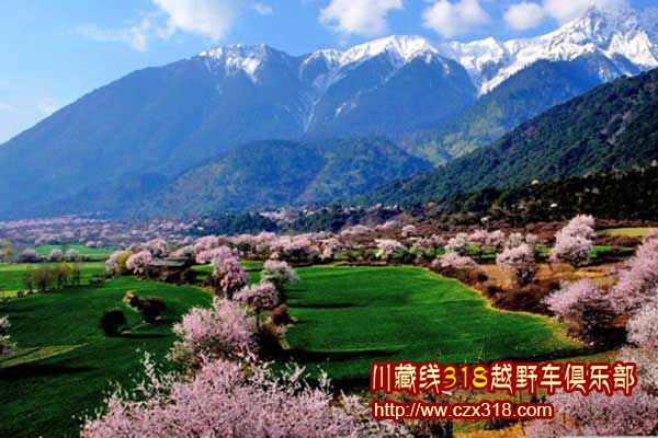 川藏線旅游看點(diǎn)之林芝桃花