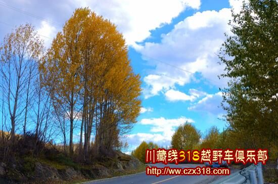 成都租車去稻城