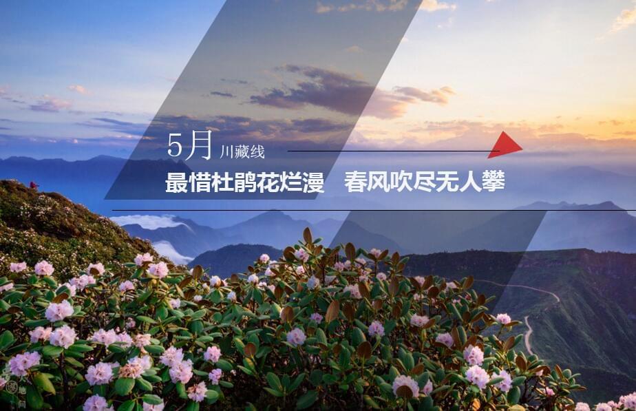 5月川藏線：最惜杜鵑花爛漫，春風吹盡無人攀