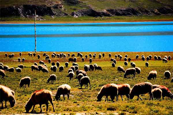 成都到川藏線旅游包車沿途風(fēng)景