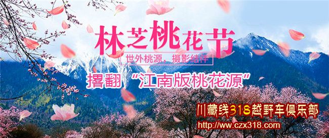 209林芝桃花節(jié)
