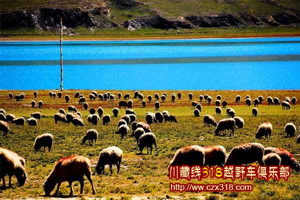 川藏線旅游