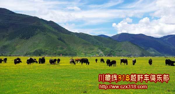 川藏線旅游
