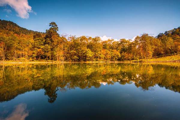 二郎山喇叭河景區(qū) (1).jpg