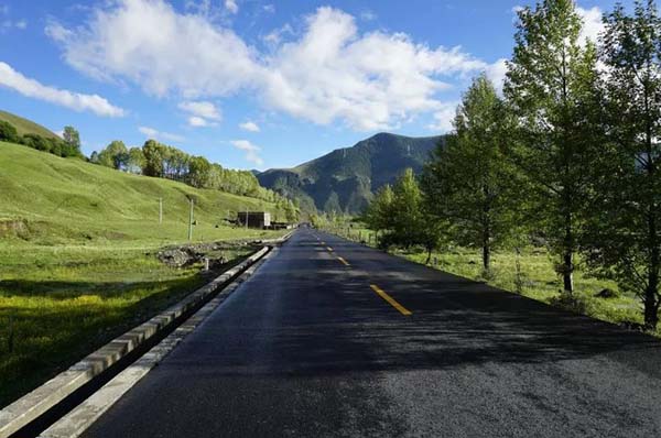 高爾寺山 (2).jpg