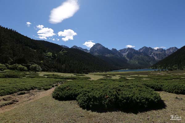 十二仙女峰 (1).jpg