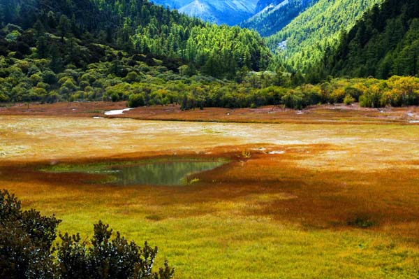 洛絨牛場(chǎng) (1).jpg