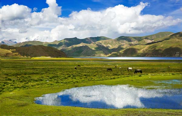 羊卓雍措 (3).jpg