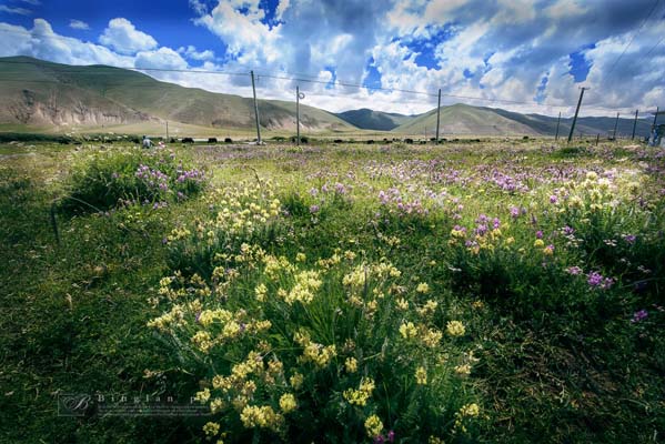 邦達草原 (4).jpg