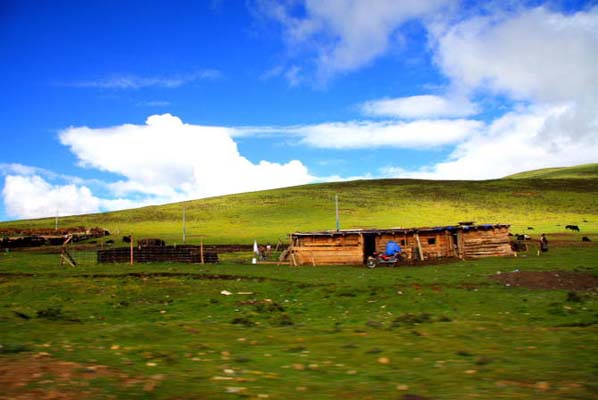 邦達草原 (5).jpg
