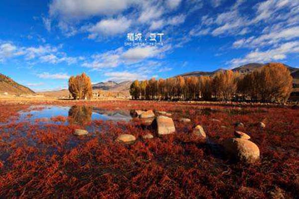 桑堆小鎮(zhèn) (1).jpg