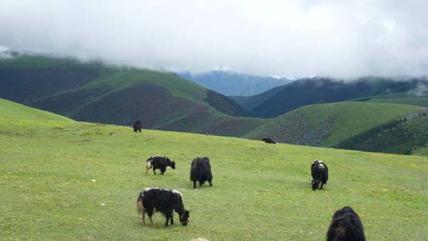 剪子彎山 (4).jpg