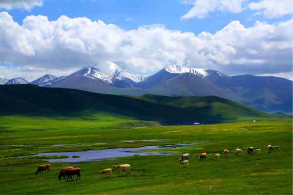 巴音布魯克草原
