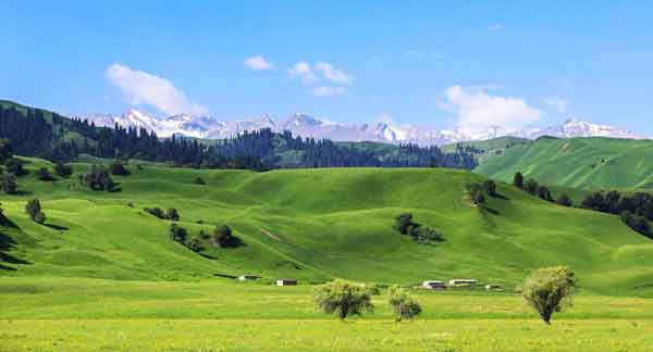 巴音布魯克草原