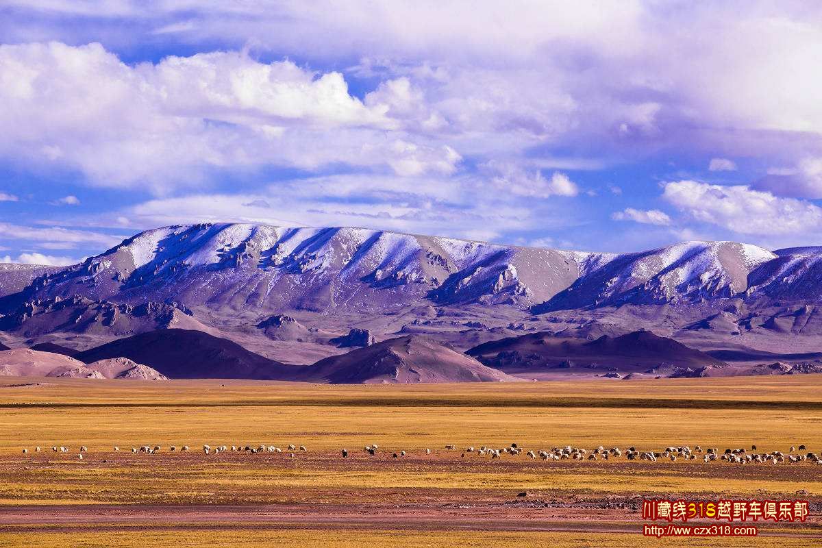 成都自駕游阿里大北線旅游線路