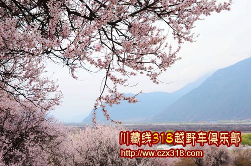 川藏線旅游路況