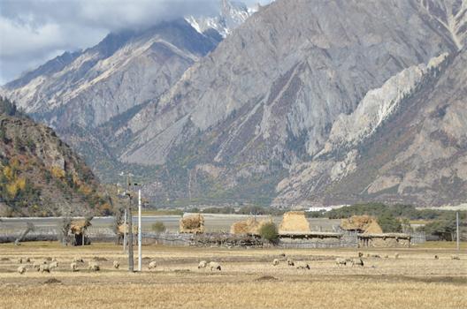 <a href=http://m.yhd285.cn _fcksavedurl=http://m.yhd285.cn target=_blank >川藏線旅游</a>