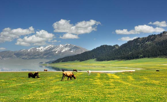 <a href=http://m.yhd285.cn _fcksavedurl=http://m.yhd285.cn target=_blank >川藏線旅游</a>