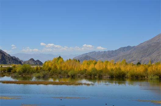 <a href=http://m.yhd285.cn _fcksavedurl=http://m.yhd285.cn target=_blank >川藏線旅游</a>