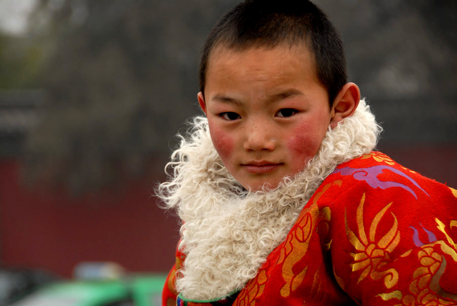 No.2對高原紅成因的誤解