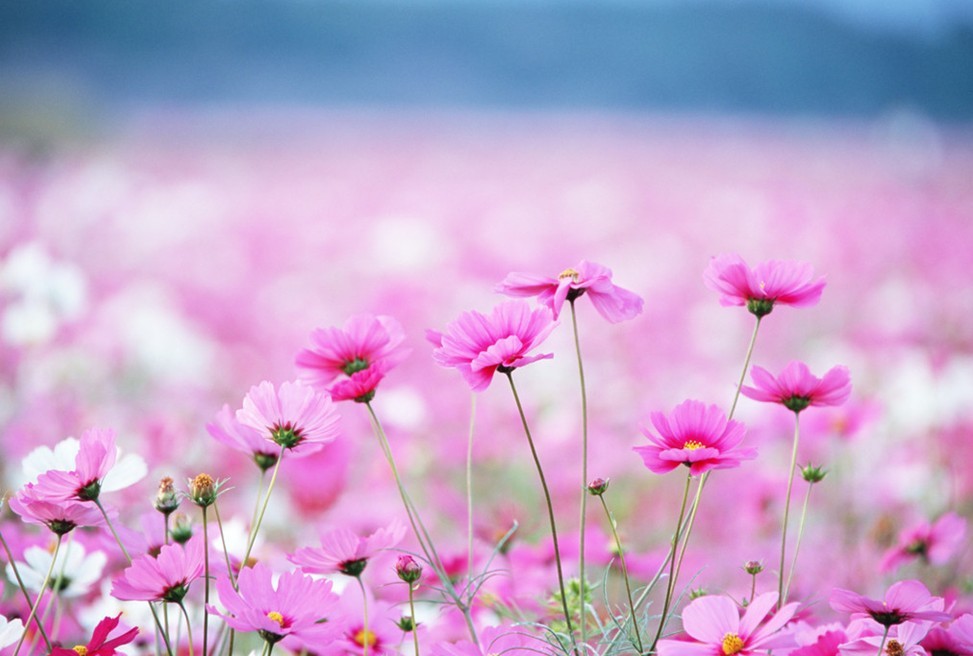 No.3對格?；ǖ恼`解