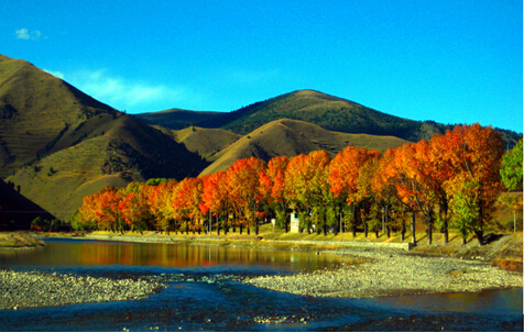 成都至理塘線路最新路況 成都至理塘線路最新路況