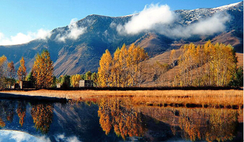 成都至理塘線路最新路況 成都至理塘線路最新路況