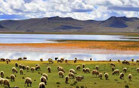 川藏線風(fēng)景