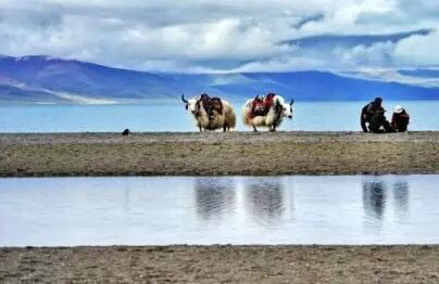 川藏線自駕游:成都租越野車從林芝到拉薩