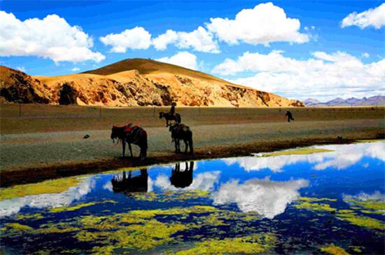 走川藏線的 N 個理由