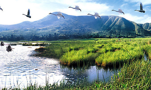 春節(jié)?云南暖冬八日自駕游